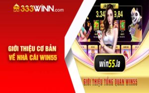 Giới thiệu cơ bản về nhà cái Win55